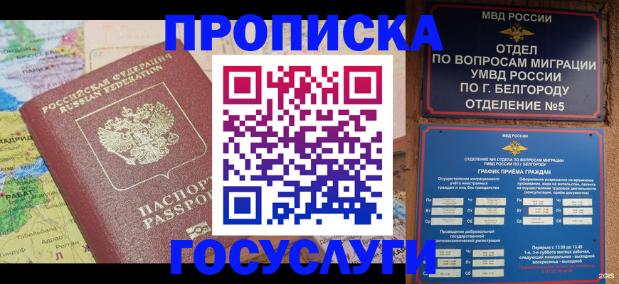 прописка регистрация в Козловке